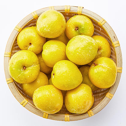 老树黄金蜜李3斤精品大果12个内