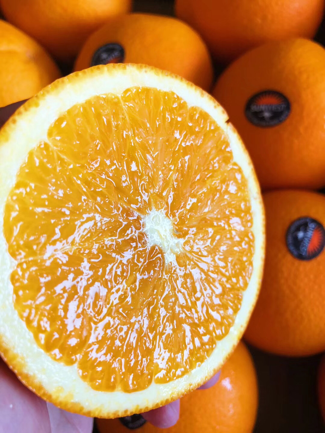 澳洲阳光甜橙非常嫩化渣橙子果皮颜色偏橙红色肉质细嫩汁水丰润鲜甜橙