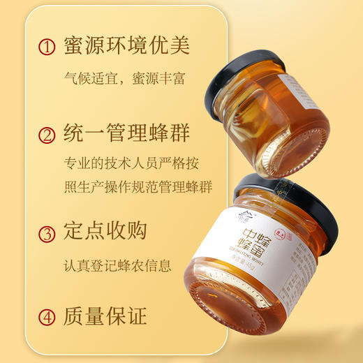 臻碧乡 蓝田县中蜂蜂蜜丨礼盒45g*10 商品图4