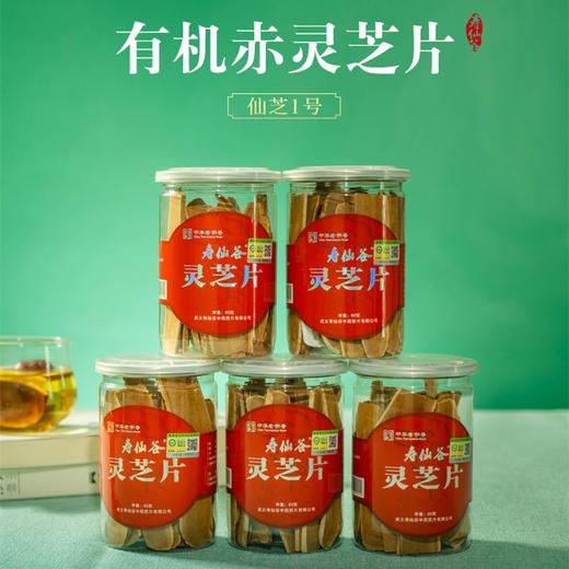 寿仙谷 有机赤灵芝片60g/罐 商品图2