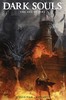 变体 黑暗之魂 Dark Souls The Age of Fire 商品缩略图1