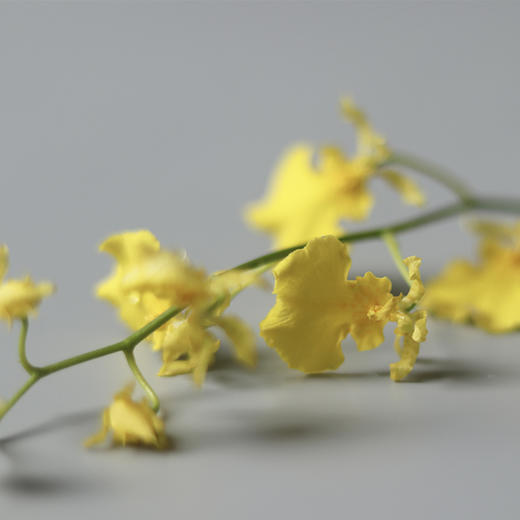 『宛若新生』定制插花酸奶蛋糕 商品图7