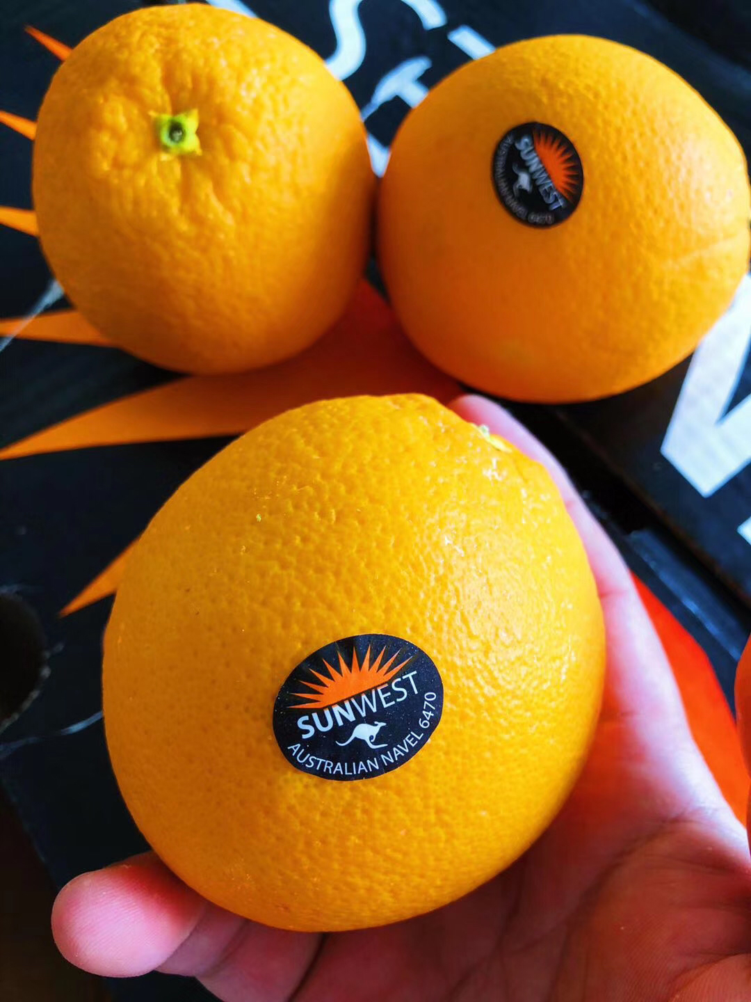 澳洲阳光甜橙非常嫩化渣橙子果皮颜色偏橙红色肉质细嫩汁水丰润鲜甜橙
