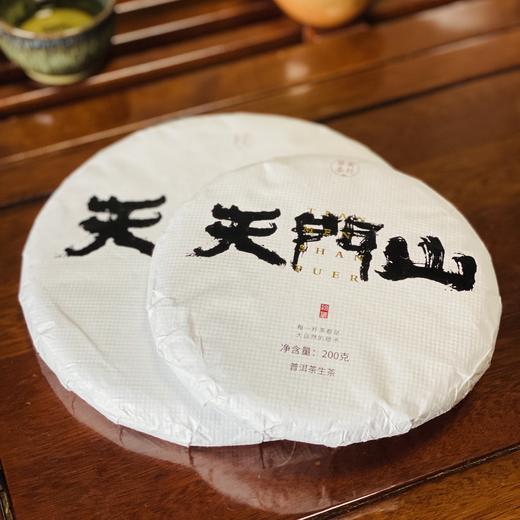 【天门山】2019易武天门山单株高杆古树，比肩薄荷塘 商品图0