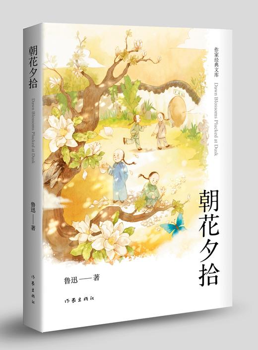 朝花夕拾封面图片 a4纸图片