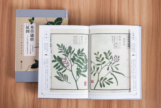 本草通串证图（181幅画风别具一格的唯美本草手绘图） 商品图3