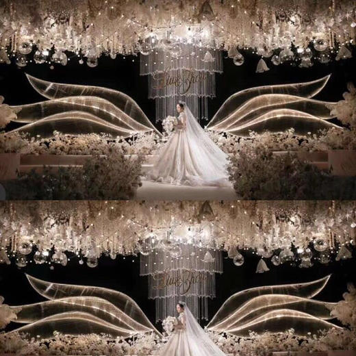 展翅高飞背景【运费自理】 商品图1