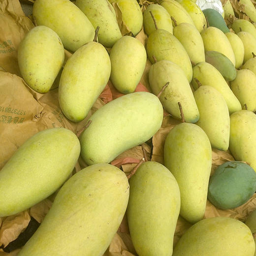 黔西南 望谟【金煌芒芒果】新鲜现摘现发金煌芒5斤/10斤装