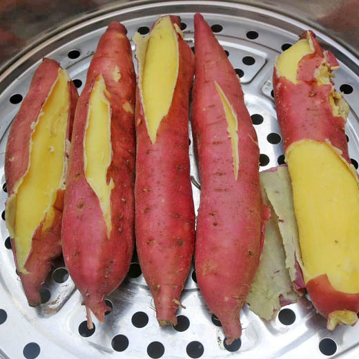 陕西黄河滩地板栗红薯 5斤/10斤装 包邮 商品图1