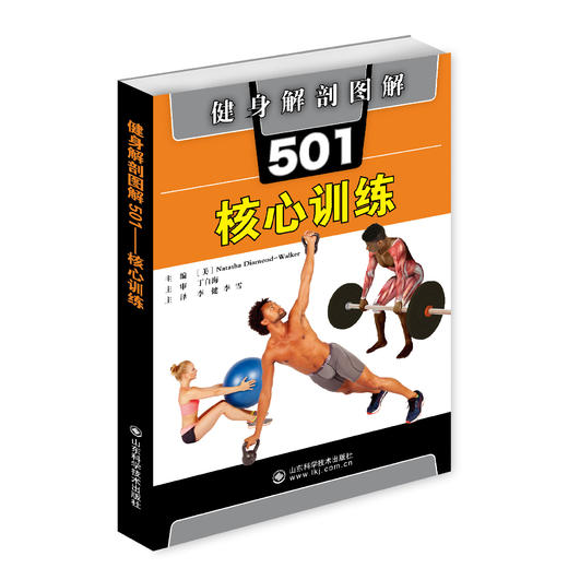 健身解剖图解501：核心训练 商品图0