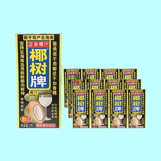 椰树牌椰汁1L 商品图2