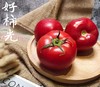 新疆小柿沙瓤西红柿 商品缩略图3