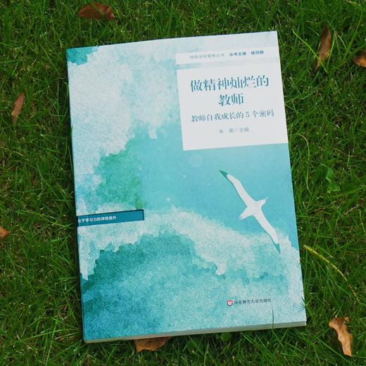 做精神灿烂的教师：教师自我成长的5个密码 朱英 特色学校教师培养案例 小学案例 教师专业成长 教师用书 正版 华东师范大学出版社 商品图1