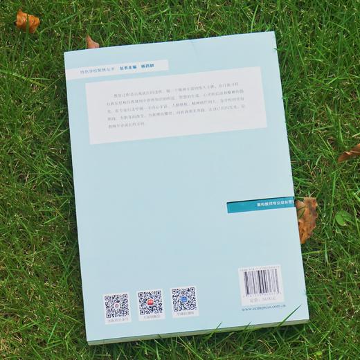 做精神灿烂的教师：教师自我成长的5个密码 朱英 特色学校教师培养案例 小学案例 教师专业成长 教师用书 正版 华东师范大学出版社 商品图4