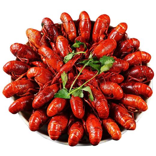 【顺丰空运包邮】湖北潜江麻辣小龙虾 700g/盒(约19-23只)鲜活熟食q弹