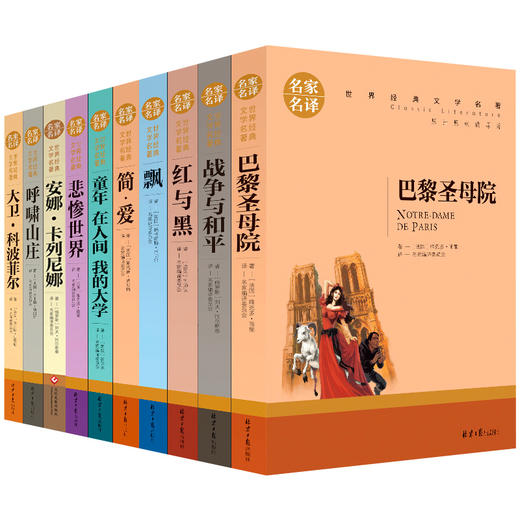 世界十大名著全套10册 简爱书籍正版包邮原著文学名家外国 巴黎圣母院 图书课外书 红与黑书原版 高中经典小说畅销书 安娜卡列尼娜 商品图4