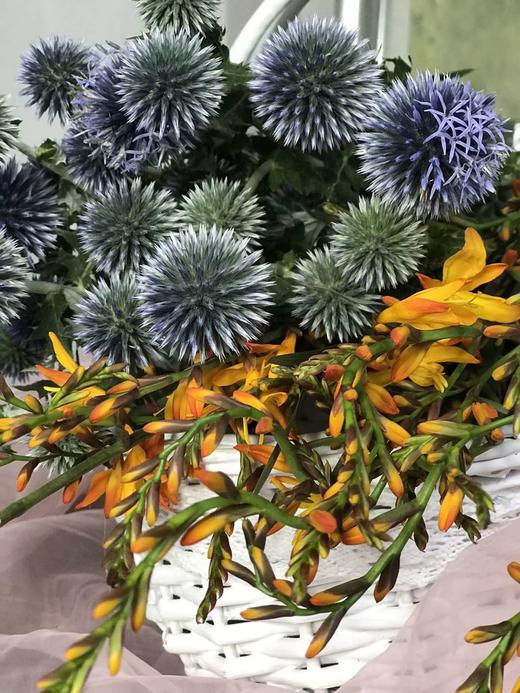 【读本鲜花】蓝星球花束39.9元