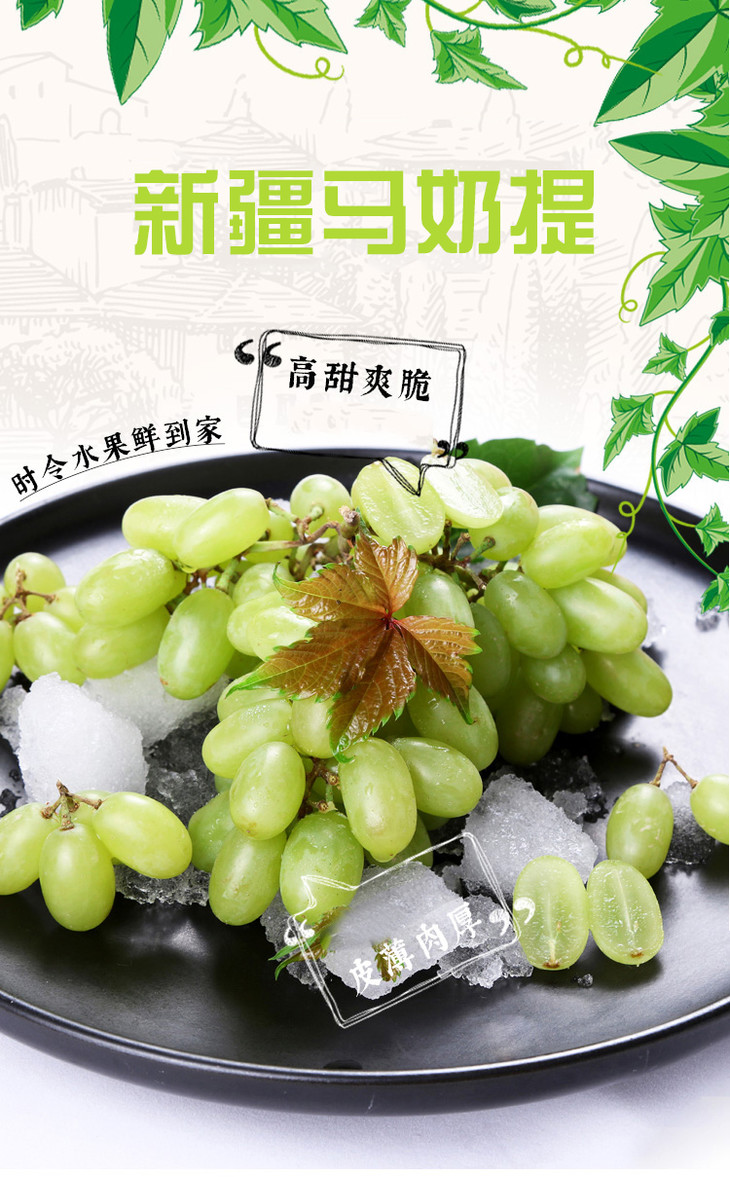 首发预售直采新疆马奶提整箱约5斤装26号到诸暨配送上门