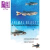 【中商原版】Animal Beauty:On the Evolution of Biological Aesthetics 英文原版 动物之美 Christiane Nºsslein-Volhard 商品缩略图0