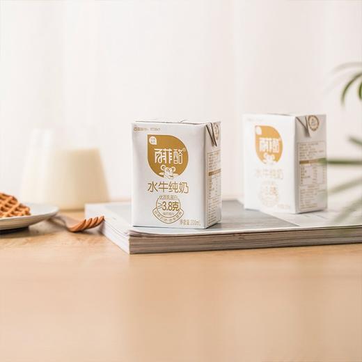 【广西百菲酪水牛纯奶】200ml*12盒/箱 商品图3