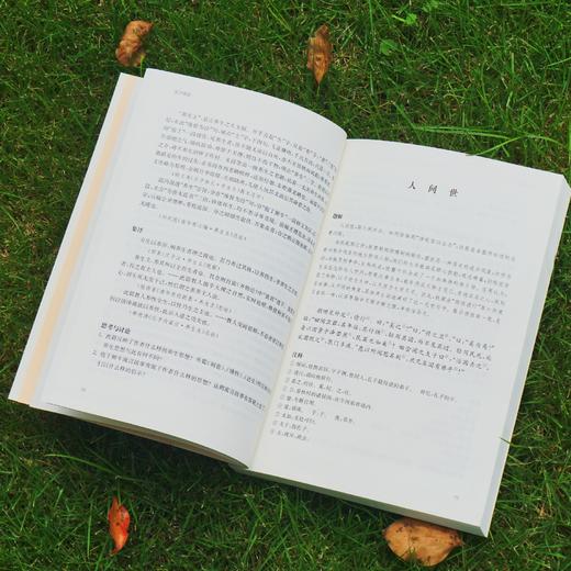 国学名著讲读系列 庄子讲读 华东师范大学中文系名师解读国学经典 详细注释 难点分析 文史拓展 商品图3