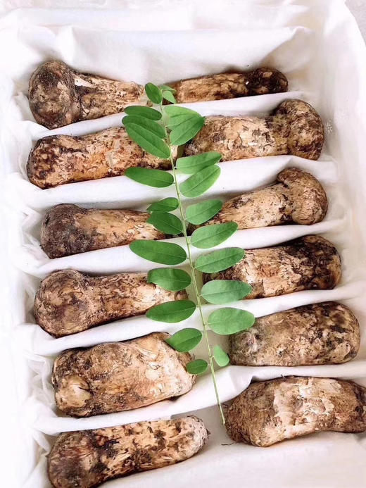 2023新鲜松茸香格里拉小金野生松茸菌1000克/盒 商品图2