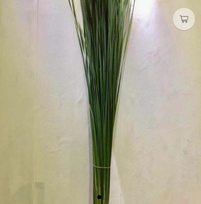 水竹叶  约5枝/扎 商品图2