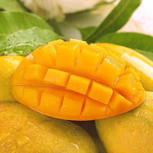 新鲜上市 丽江鹰嘴芒 每日现摘现发 气味香浓 甜蜜可口 3种规格任选