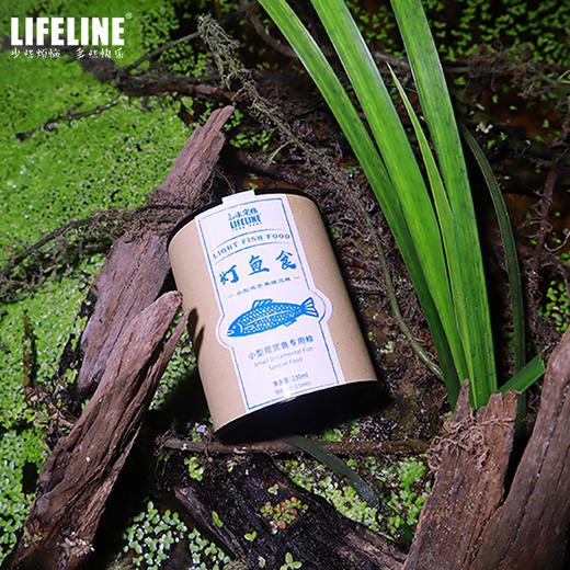 命脉 灯鱼食小型观赏鱼缓沉粮 幼鱼粮饲料 灯科鱼小颗粒底栖开口 商品图2