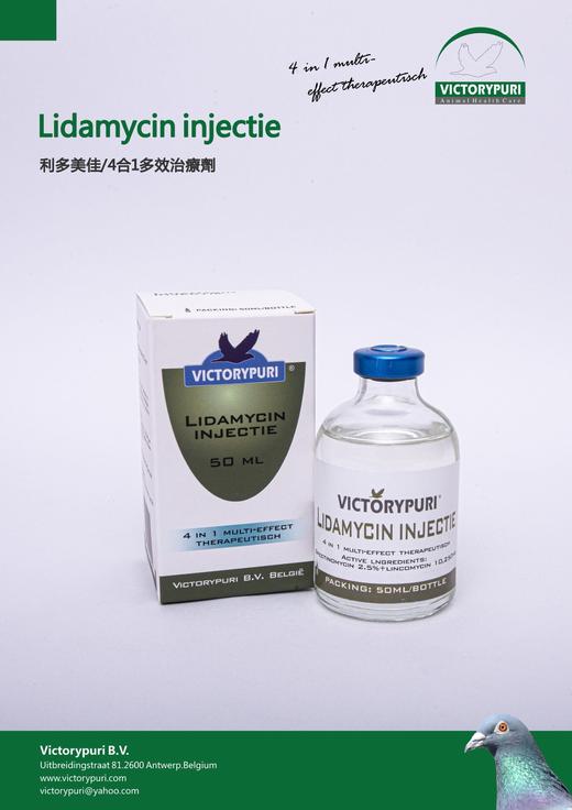 【利多美佳/4合1多效治疗剂】腺病毒/嗉囊炎/微浆菌50ml（捷普瑞） 商品图0