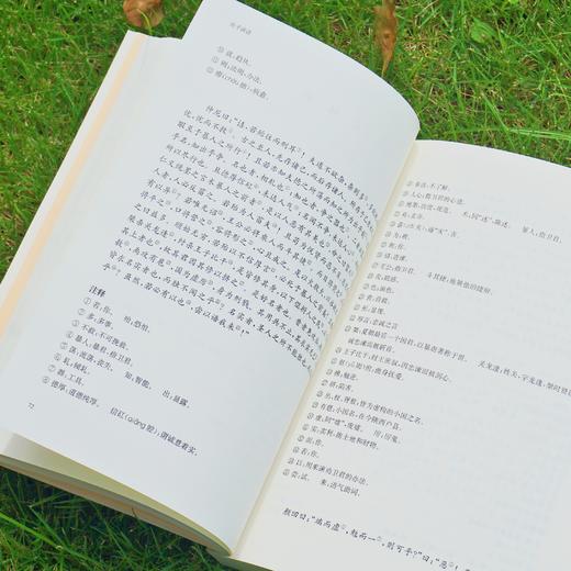 国学名著讲读系列 庄子讲读 华东师范大学中文系名师解读国学经典 详细注释 难点分析 文史拓展 商品图2