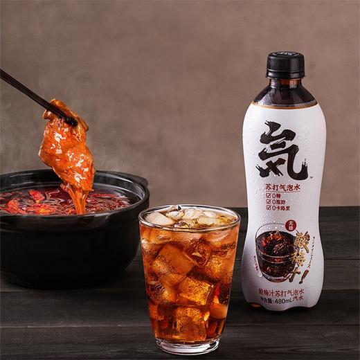【元気森林 苏打气泡水】480ml*3瓶/5瓶 多种口味任选 商品图4