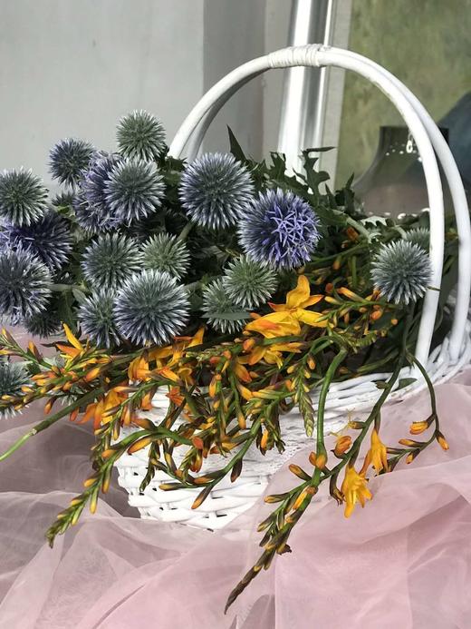 【读本鲜花】蓝星球花束39.9元