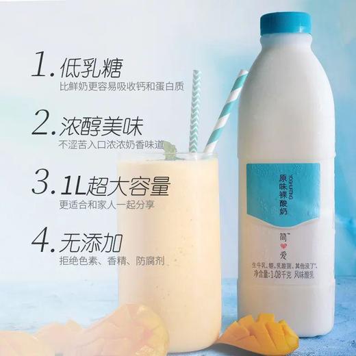 【特价】简爱原味裸酸奶1.08kg（家庭装） 商品图2