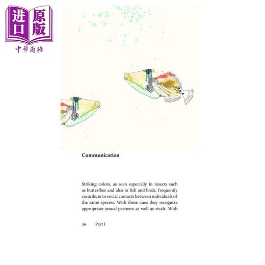 【中商原版】Animal Beauty:On the Evolution of Biological Aesthetics 英文原版 动物之美 Christiane Nºsslein-Volhard 商品图3