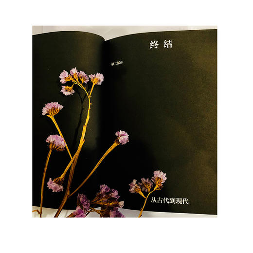 爱神之泪 乔治 巴塔耶 著 艺术进程中观念的变迁兴衰  外国西方哲学 书籍 商品图3