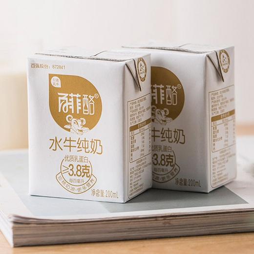 【广西百菲酪水牛纯奶】200ml*12盒/箱 商品图2