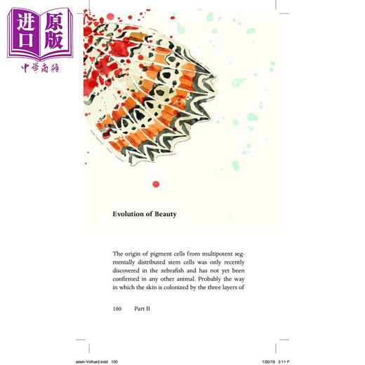 【中商原版】Animal Beauty:On the Evolution of Biological Aesthetics 英文原版 动物之美 Christiane Nºsslein-Volhard 商品图5