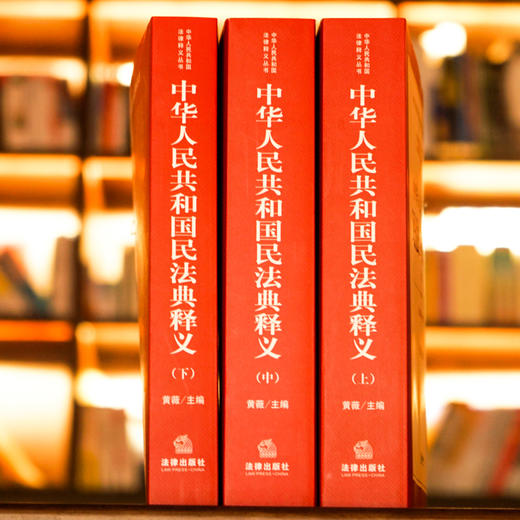 中华人民共和国民法典释义(全3册) 商品图2