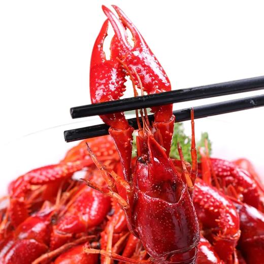 【顺丰空运包邮】湖北潜江麻辣小龙虾 700g/盒(约19-23只)鲜活熟食q弹
