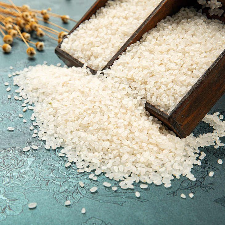 五常大米禾稻王朝五常香米5kg