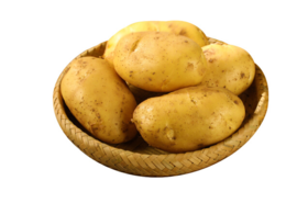 【时令蔬菜】土豆500g±20g