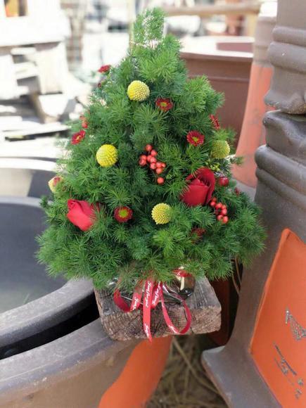 蓬莱松， 商品图2