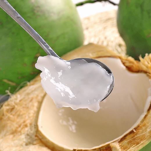 海南现摘带皮椰青5个装大果新鲜热带水果带皮椰子孕妇青椰子包邮