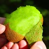 猕猴桃（500g/份） 商品缩略图3