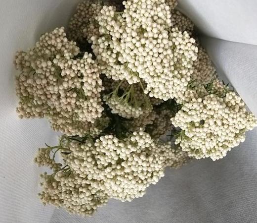 米花 白色 商品图2