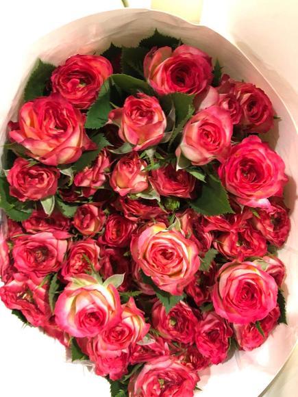 多头玫瑰 爱丽丝 商品图2