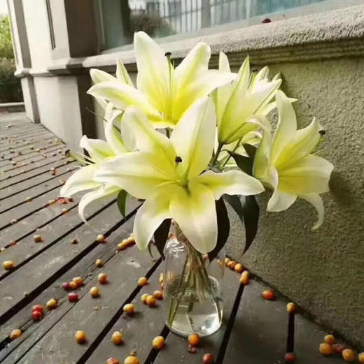 连云港黄天霸木门 三头 商品图3