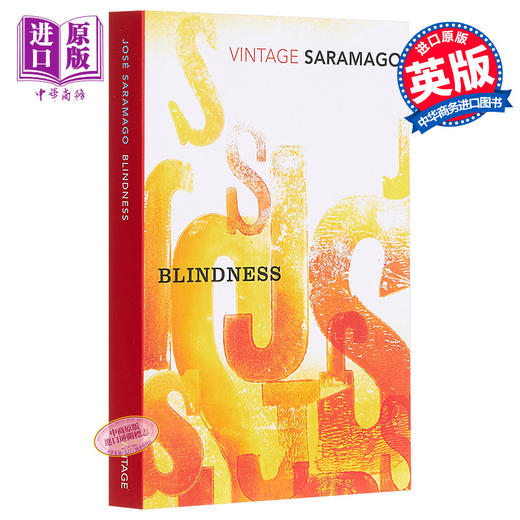 【中商原版】萨拉马戈：失明症漫记 英文原版 Blindness (Vintage Classics) 文学 José Saramago 商品图0