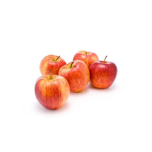 进口咖喱果约500g+50g 商品图2